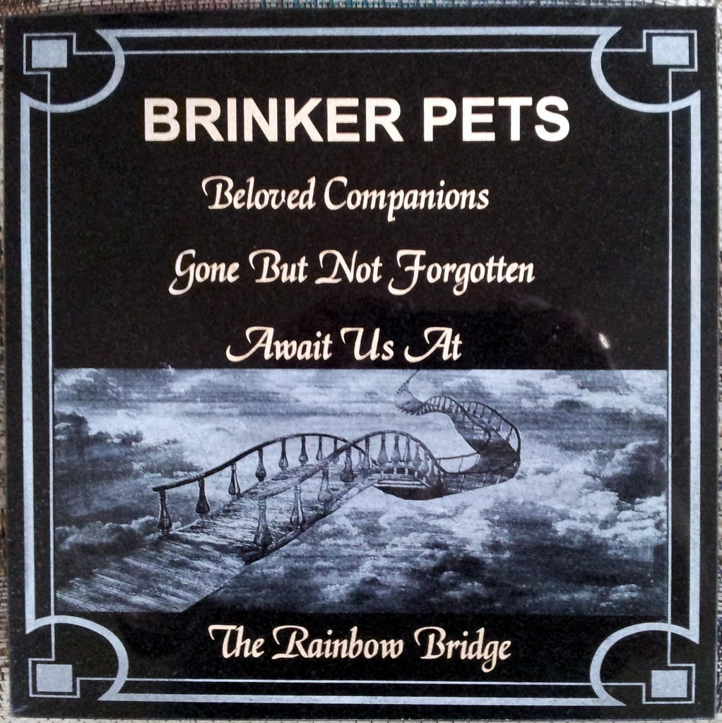 Laser etched Pet memorial stone