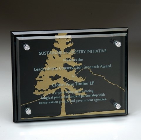 Etched glass award