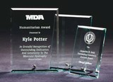 Etched glass award