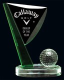 Palm Air Crystal Award