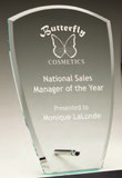 Etched glass award