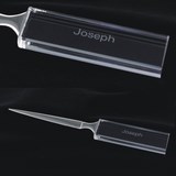 etched crystal letter opener award