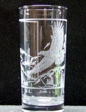 Etched Water Glass eagle design
