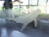 Sandblasted Glass Whale window glass